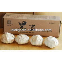 Black Garlic Helping in adjusting blood pressure, blood sugar, blood lipid